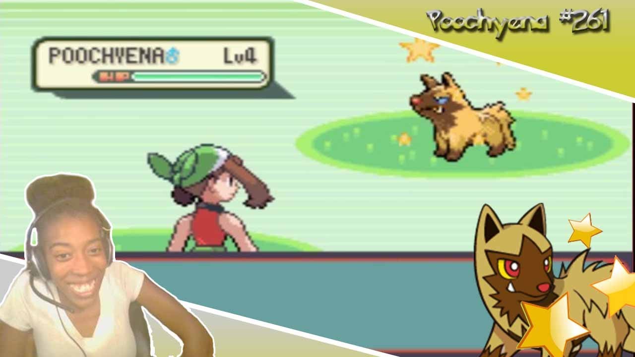 Pokémon Emerald Shiny Poochyena Random Encounter Reaction ((Quest for the Shiny Living Dex)) 