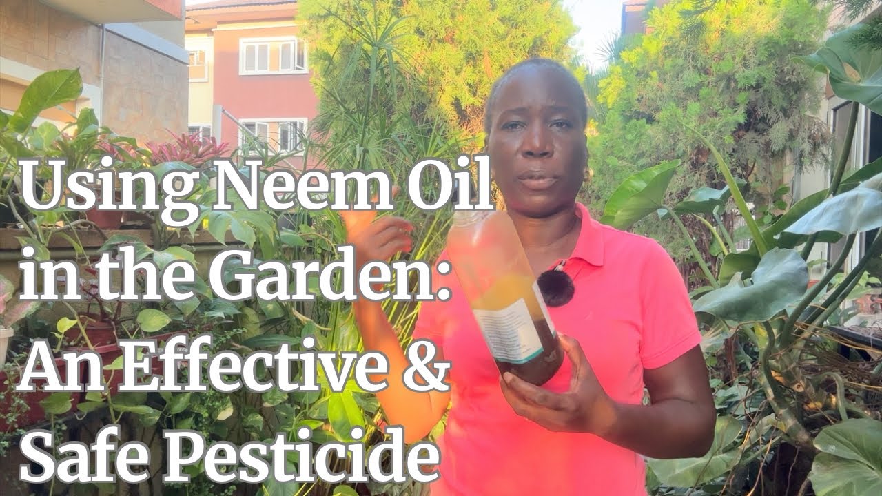 How to Use Neem Oil as a Safe & Effective Garden Pesticide