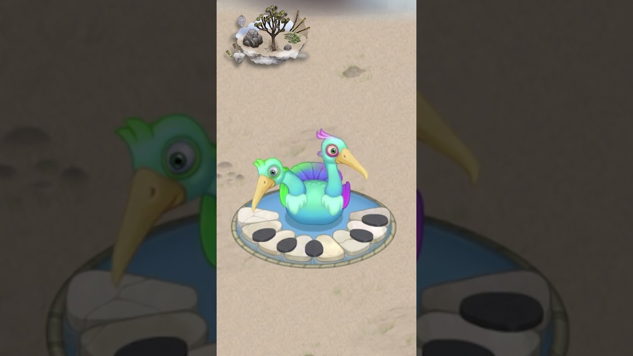 Quibble - Air Island (MSM)