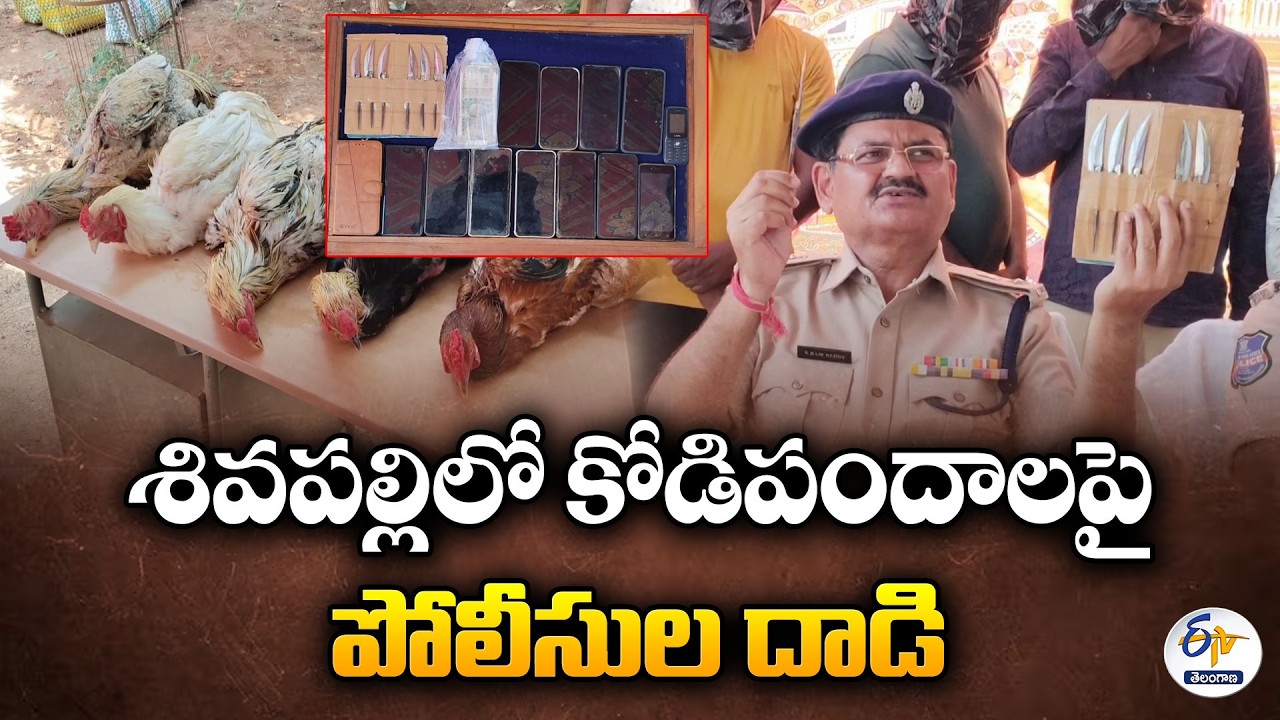 Police Raid Cockfighting Den in Peddapalli | 14 Arrested