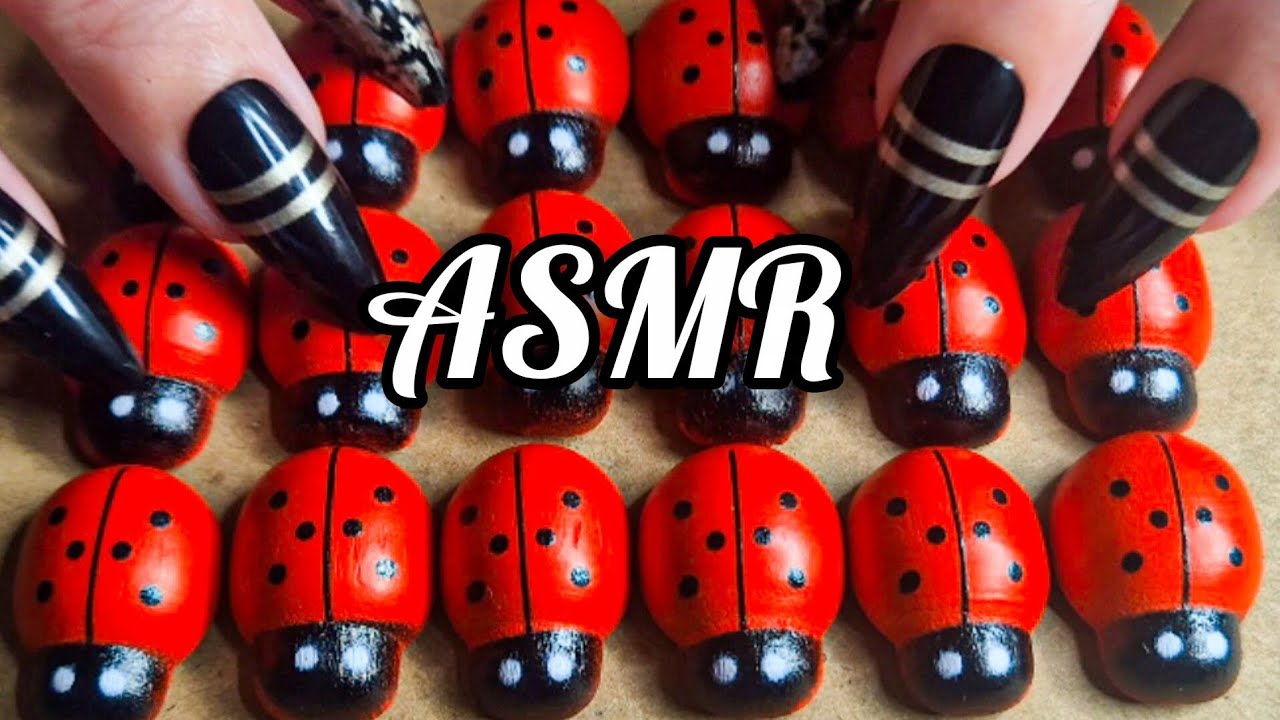 ASMR 1 Hour of Pure Tapping & Scratching Sounds! 😍 Tingle Overload (No Talking)