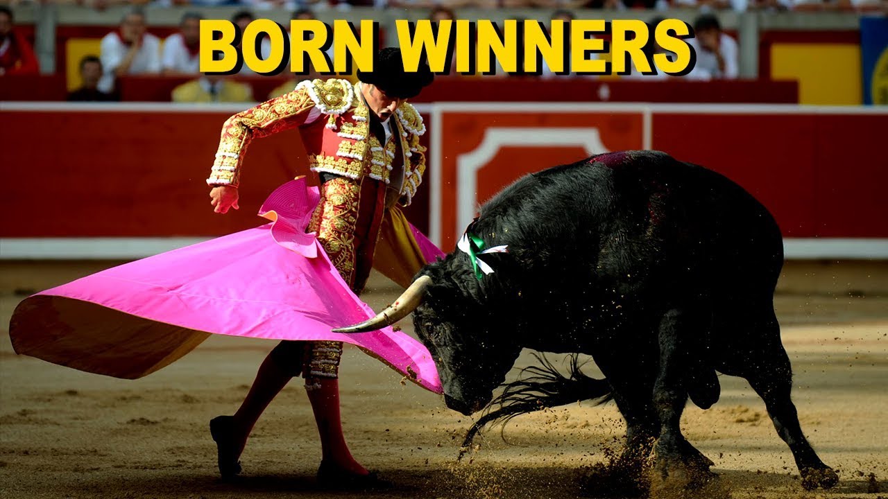 Born Winners - Antonio & the Corrida | ZeeKay