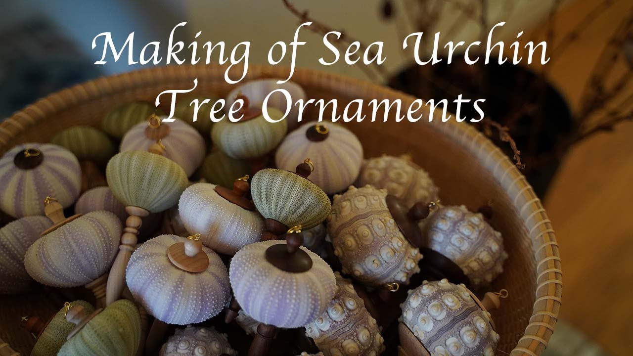 Making of Sea Urchin Ornaments