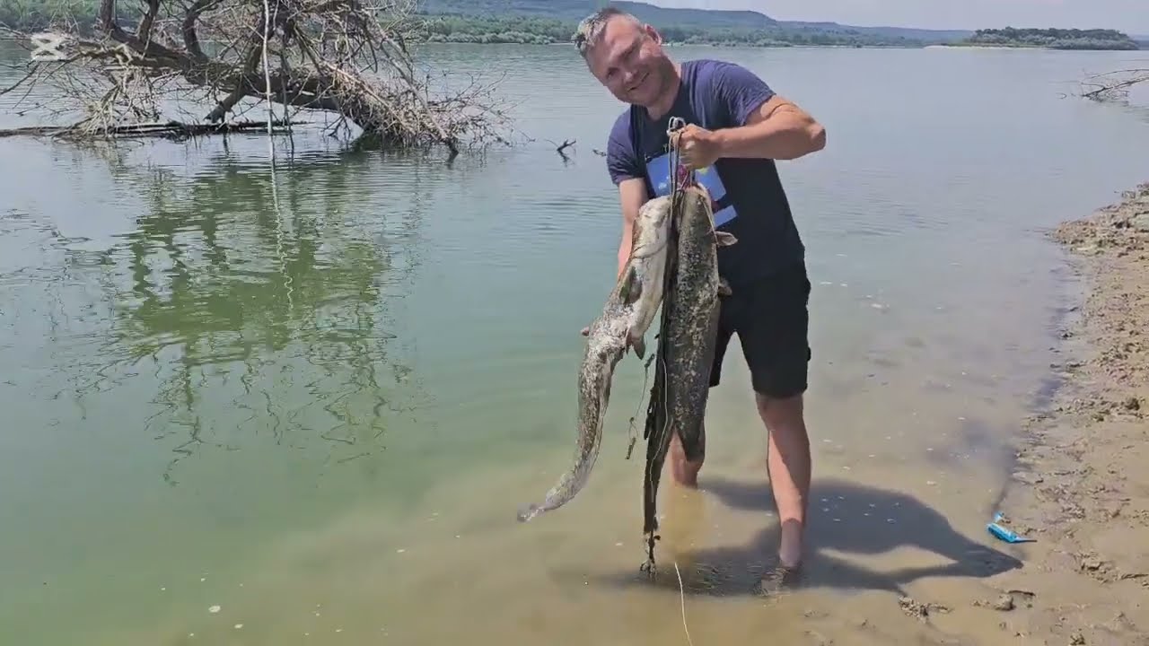 Am prins somn pe Dunăre , pescuit și aventură , relaxare totală #2025  #fishing #wildlife #catfish