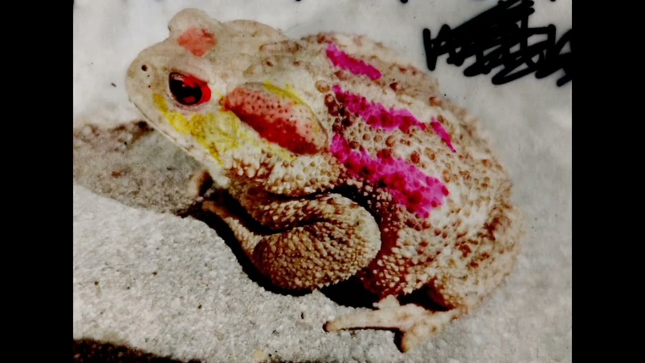 Maramitumintinu