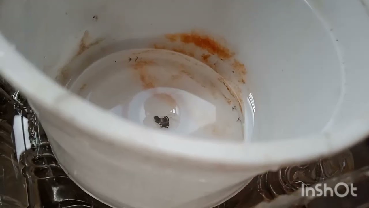 Testing all my loud homemade miniature sink drains
