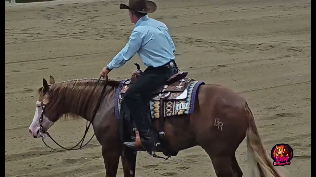 Cos'è il reining?