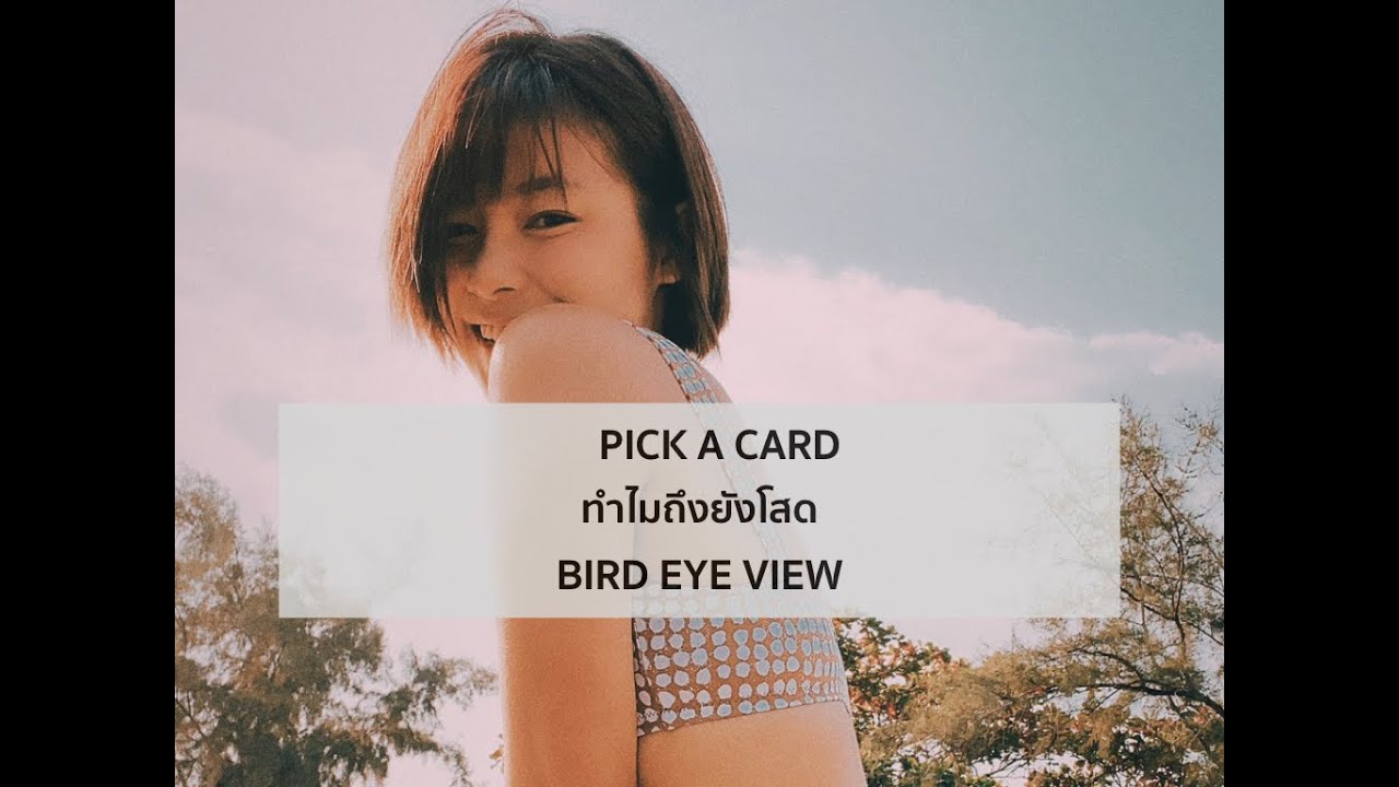 Pick a card reading 118 ทำไมคุณถึงยังโสด