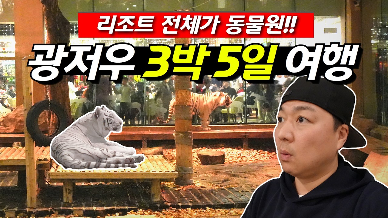 리조트 전체가 동물원인 지상 최대 스케일 중국 사파리에서 3박 5일 놀아보기