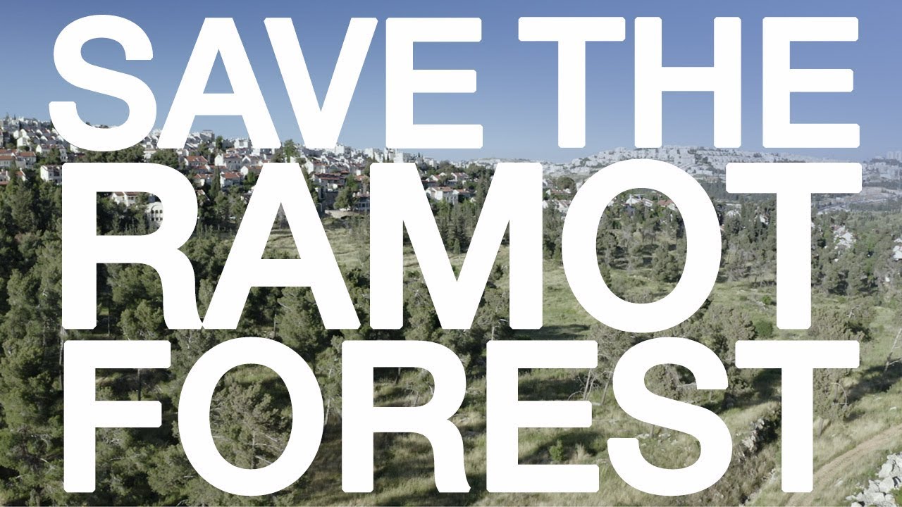 Save The Ramot Forest