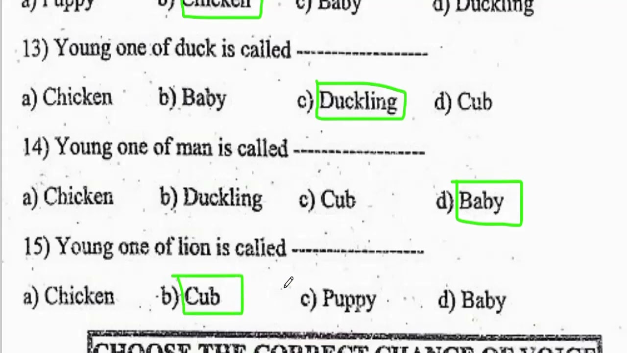 English Test 3 : Super Academic and Intelligence Book