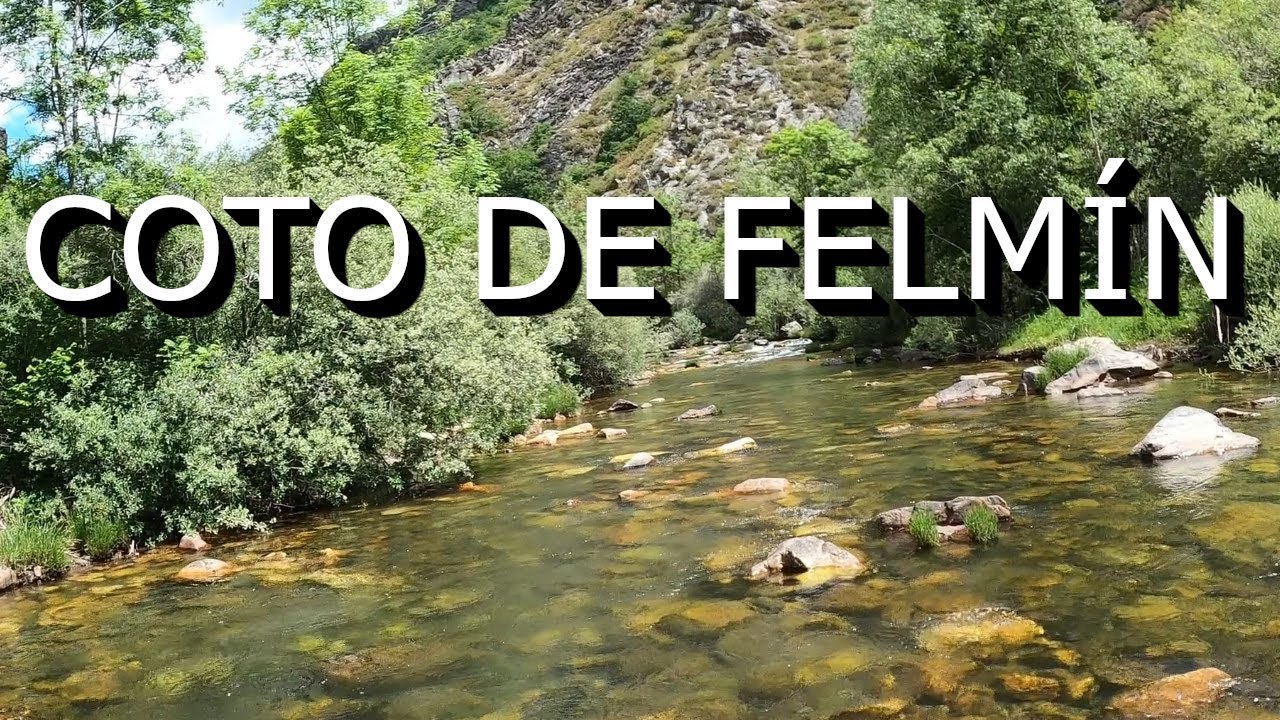 COTO DE FELMIN PESCA A MOSCA