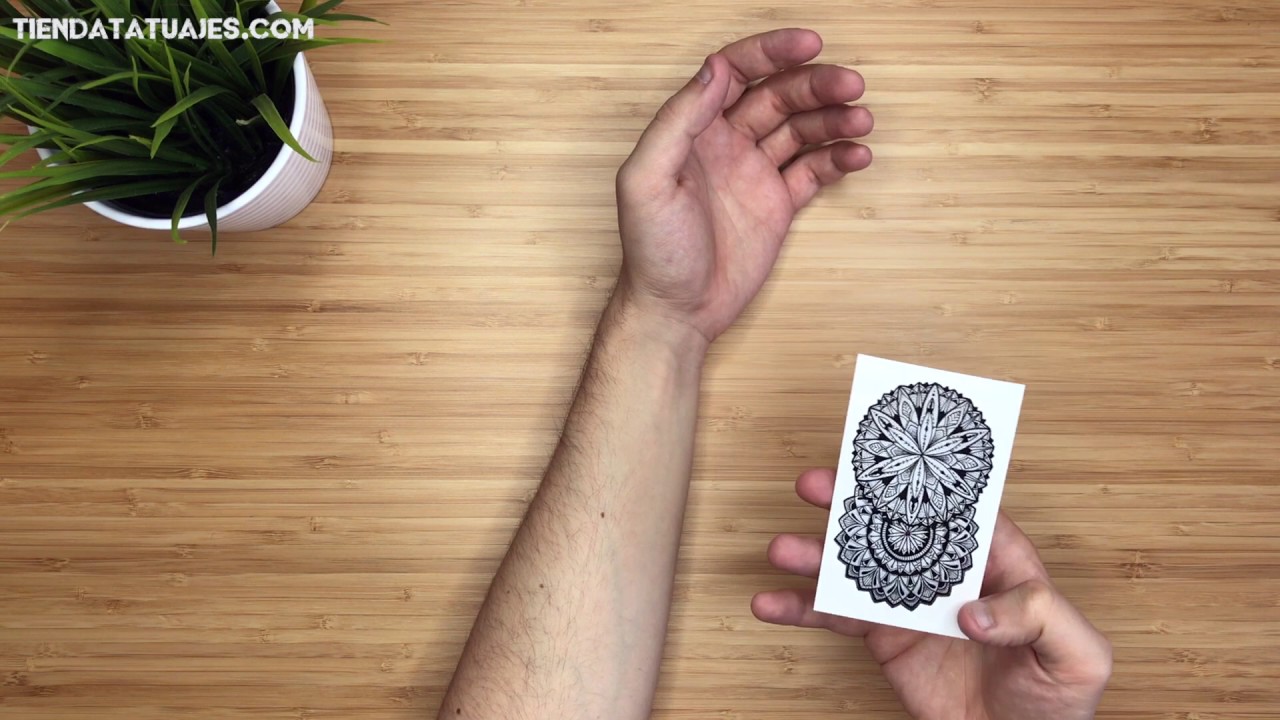 Como ponerte un tatuaje temporal - tiendatatuajes.com