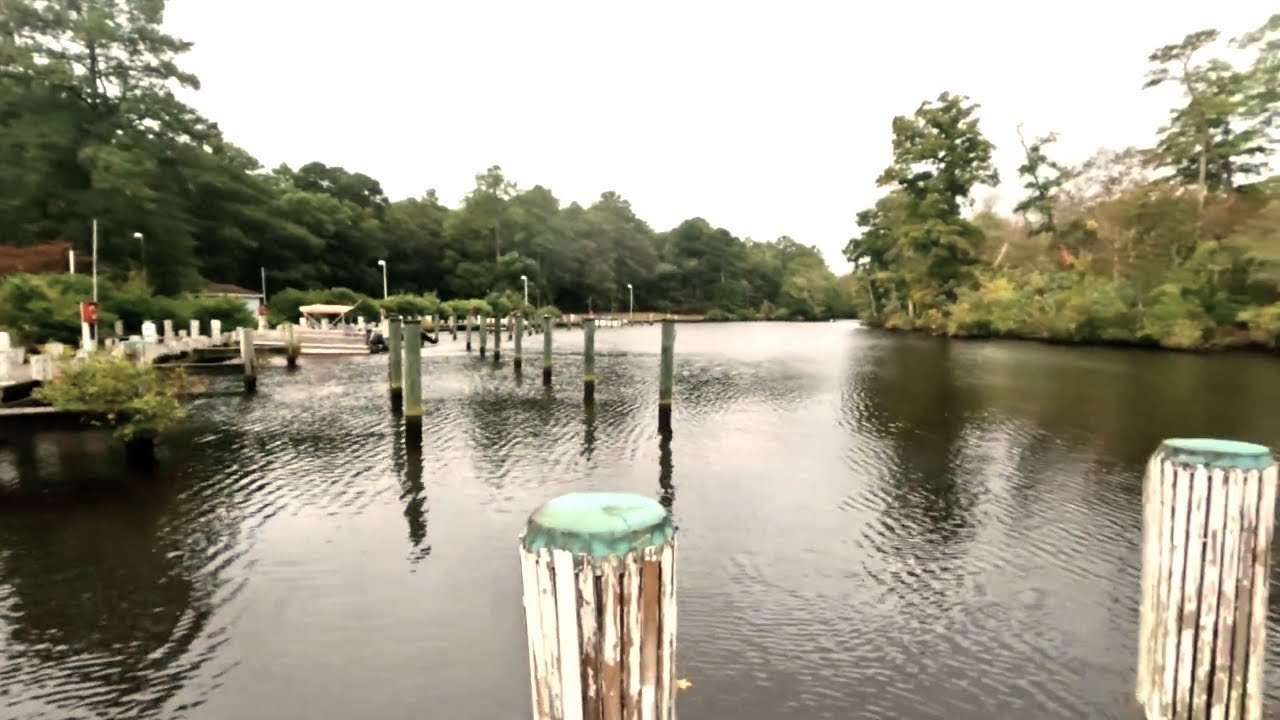 Camping and exploring Pocomoke River state park and making memories