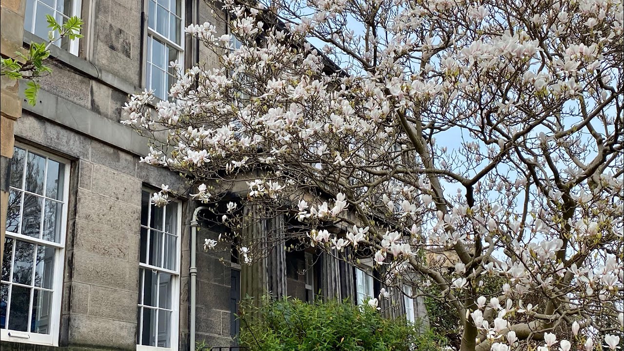 Mike and Joe Guide : Edinburgh St Bernards Crescent to Danube Street.