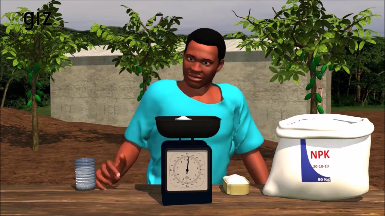 Sustainable Cocoa Production 3D Animation  for Cocoa farmers in West Africa
