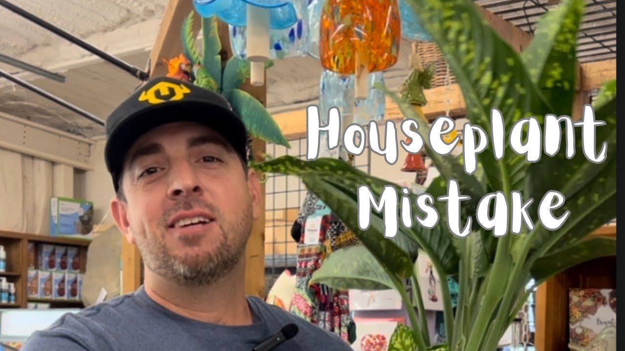 🪴Houseplant Mistake
