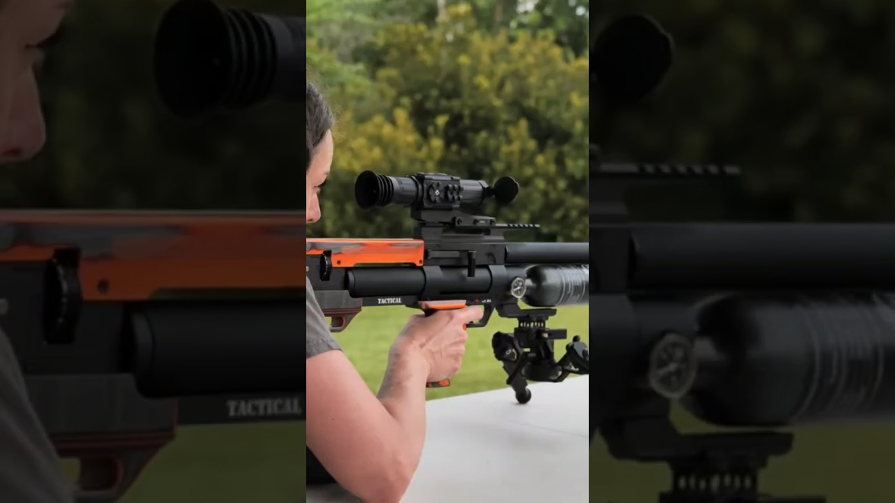 KalibrGun Cricket 2 Airgun with a DNT Zulus