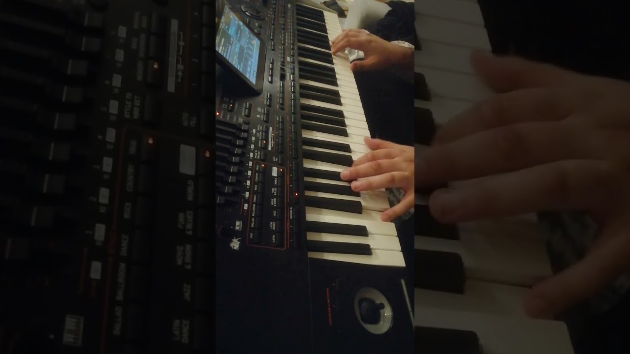 TM sólo korg pa 4