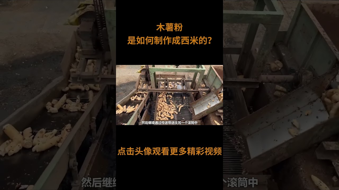 木薯粉是如何制作成西米的？#工艺 #木薯粉 #西米 #科普