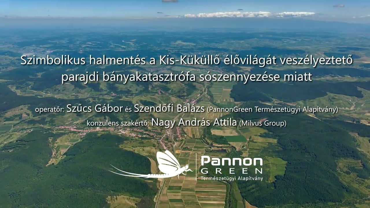 Szimbolikus halmentés a Kis-Küküllőből
