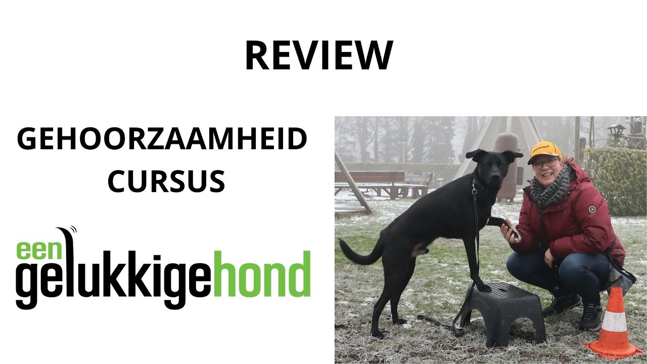 Gehoorzaamheid cursus review eengelukkigehond