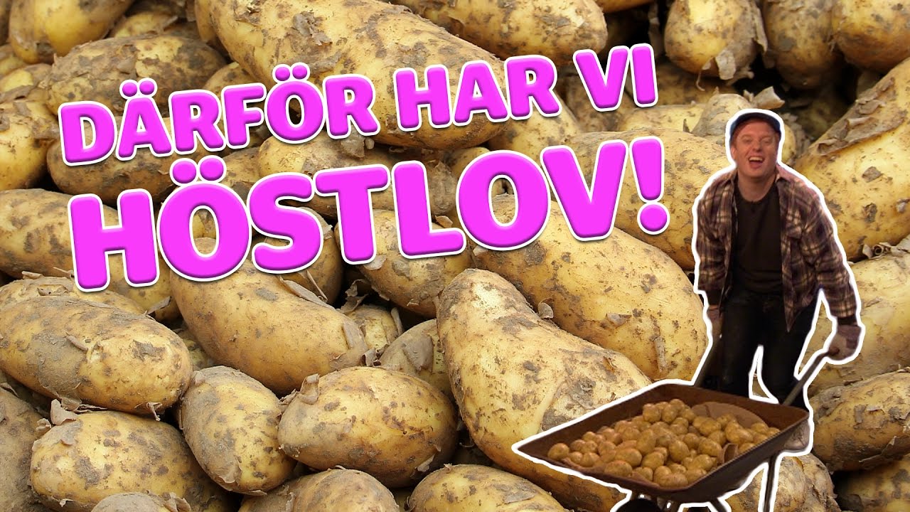 D&auml;rf&ouml;r har vi h&ouml;stlov