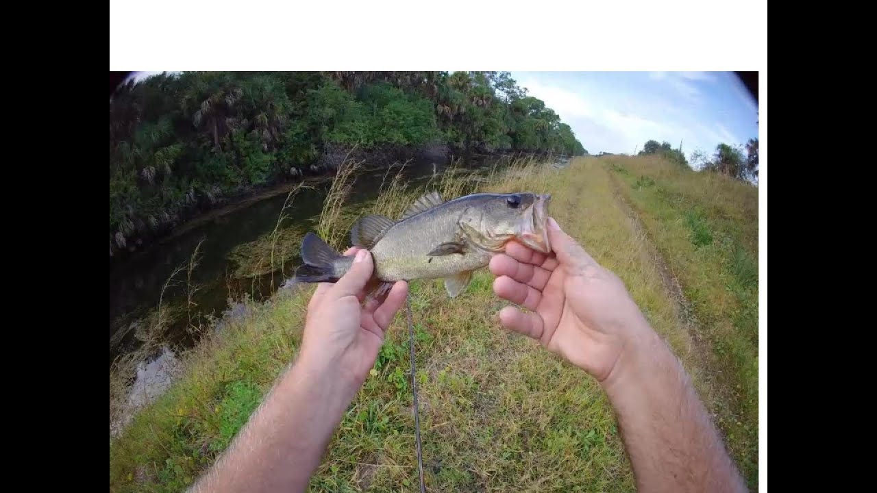 Casual fishing in backyard canal
