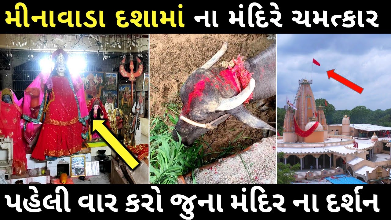 2024 મા દશામાં વ્રત કયારે શરૂ થાય છે | મીનાવાડા માં ચમત્કાર | Minavada dashama nu mandir | Minavada