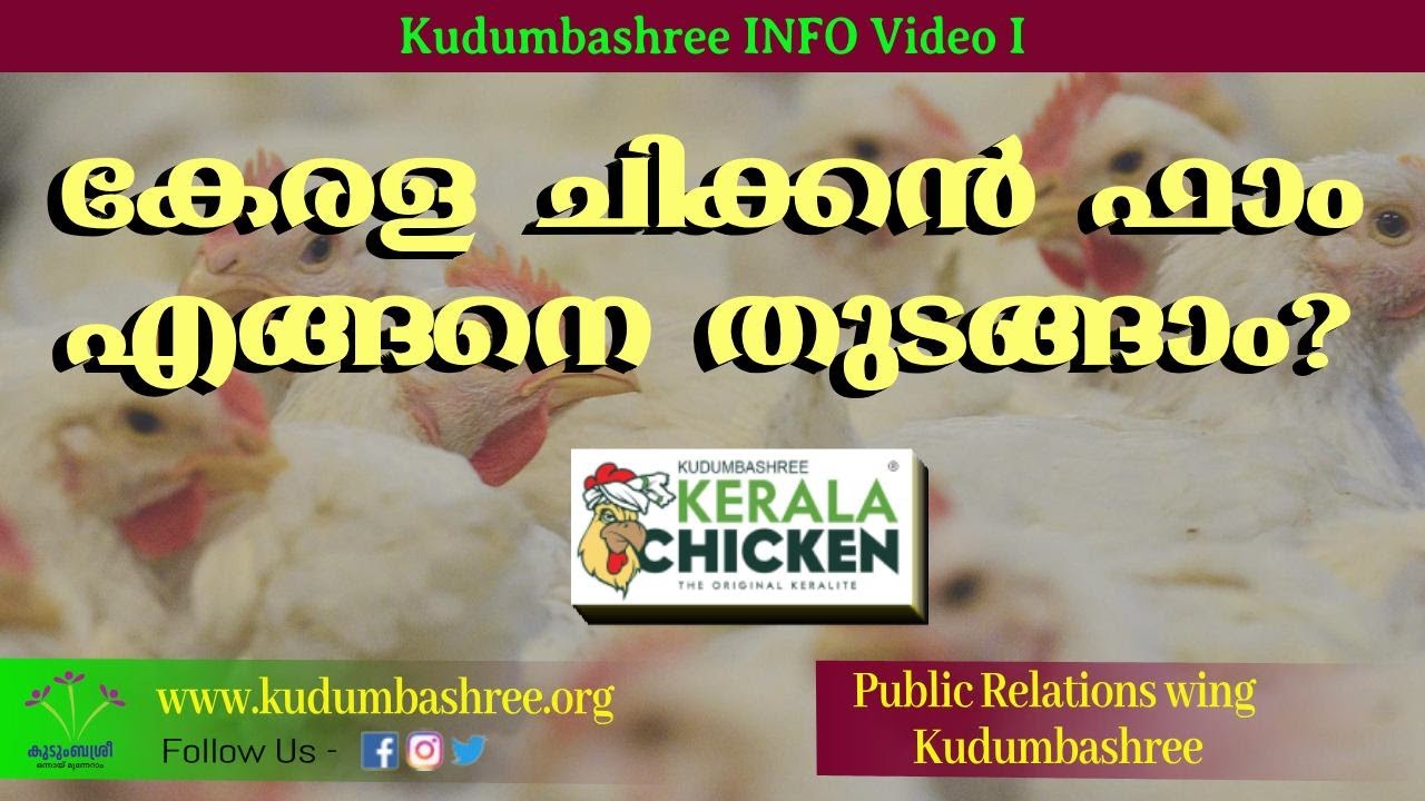 കേരള ചിക്കന്&zwj; ഫാം എങ്ങനെ തുടങ്ങാം (Kudumbashree INFO video I)
