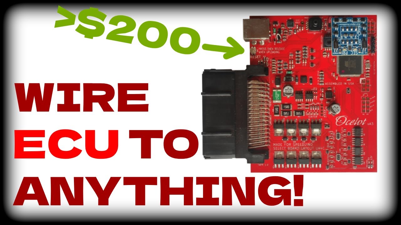ECU Wiring Simplified - Featuring Speeduino Ocelot
