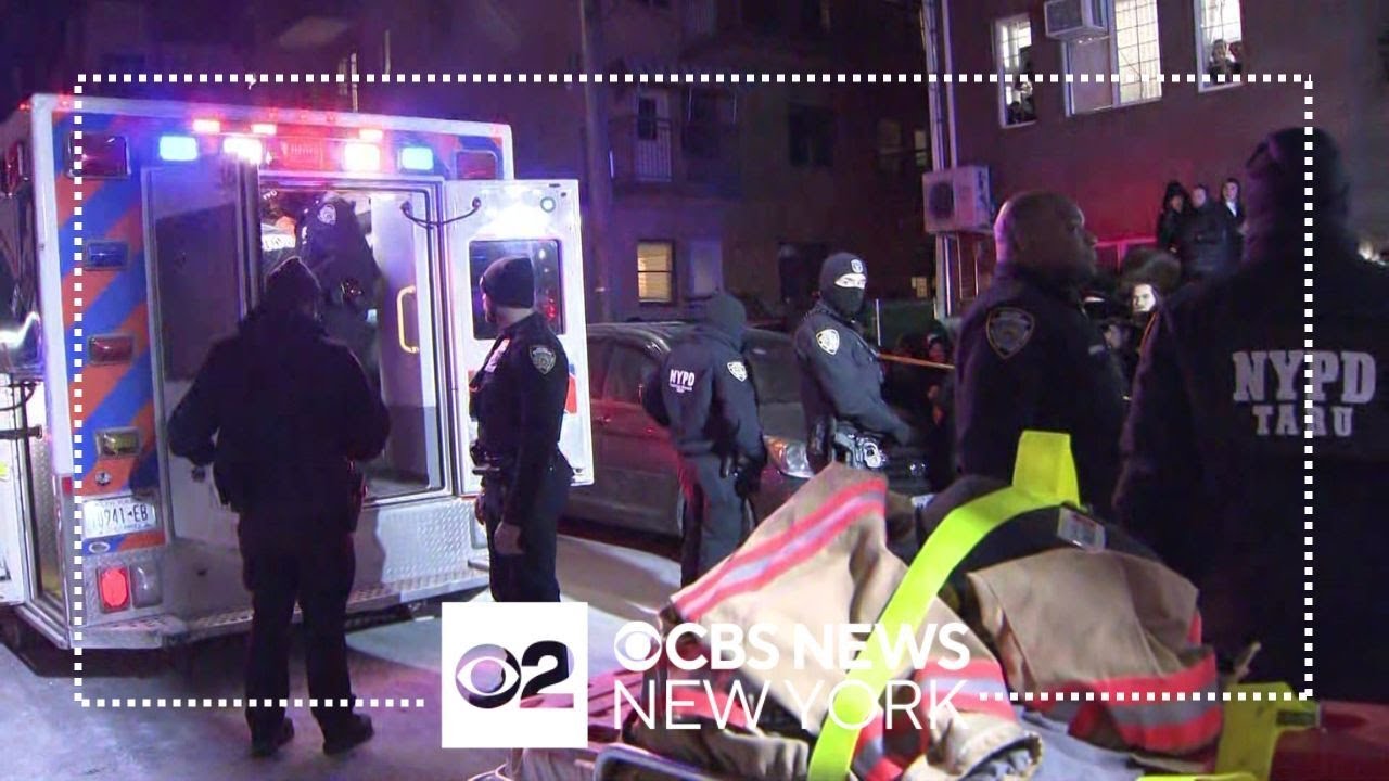 Elderly couple stabbed to death in Brooklyn