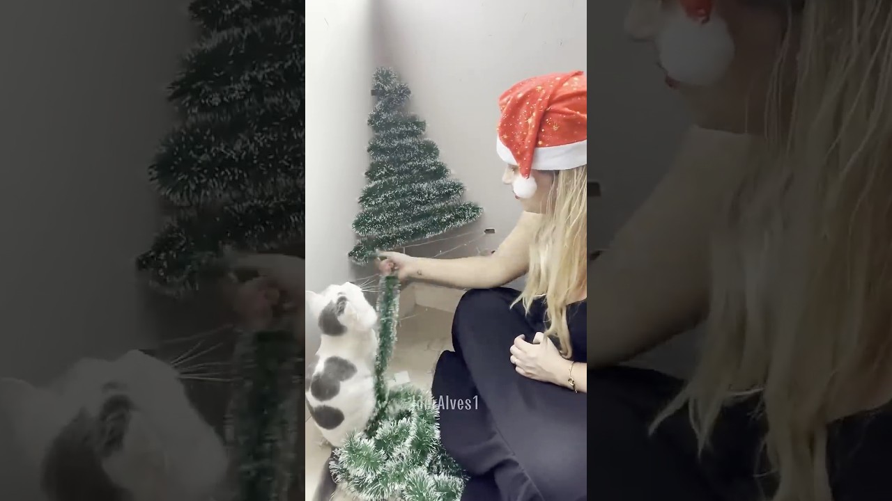 Diy &Aacute;rvore de Natal de Parede F&aacute;cil! Parte 3