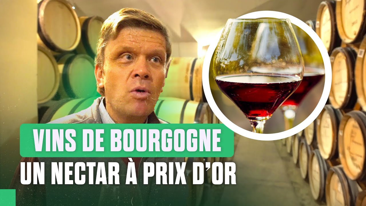 Ces vignobles français parmi les plus chers du monde
