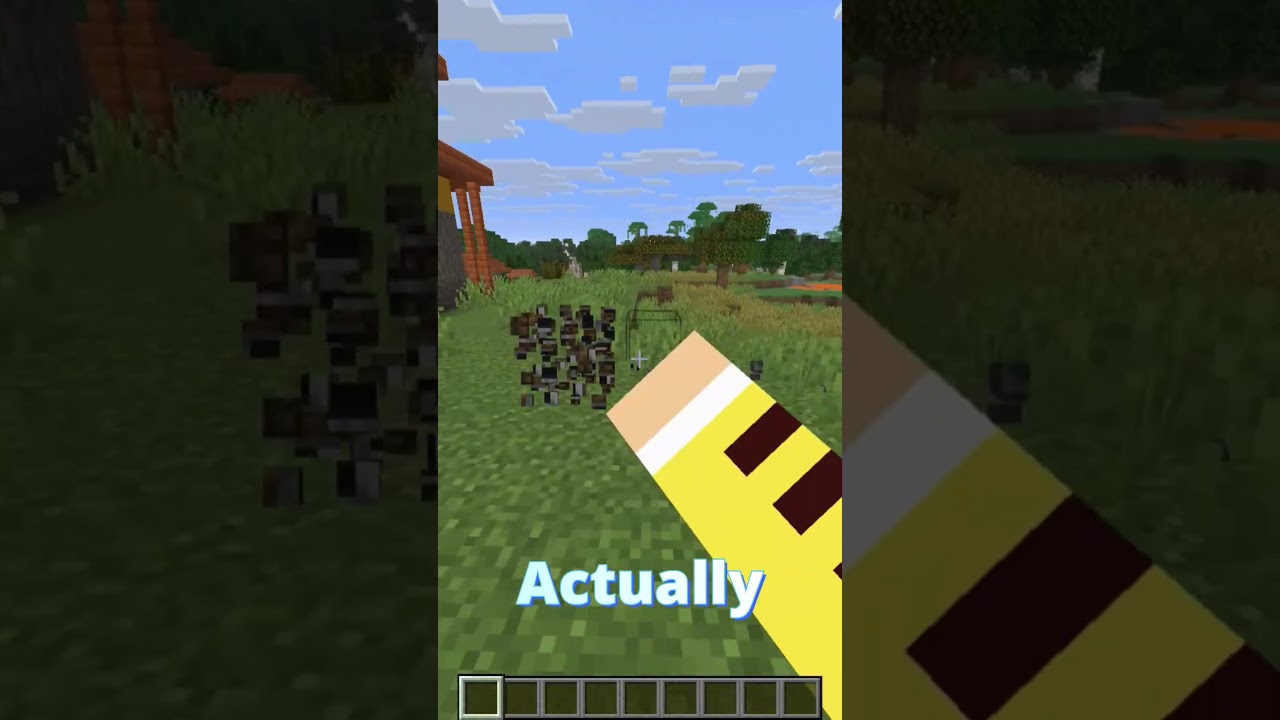 Do People Actually Use Them?