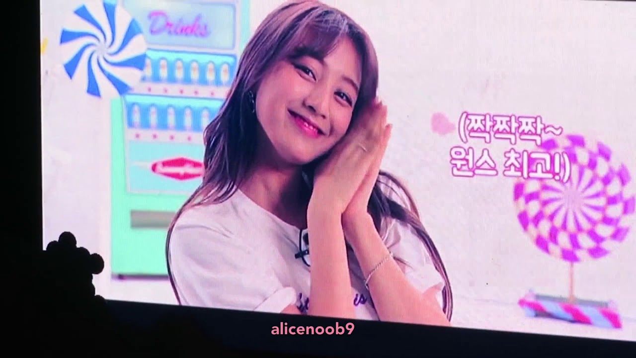 180520 TWICELAND Fantasy Park in Seoul Day 3 - Encore calling VCR