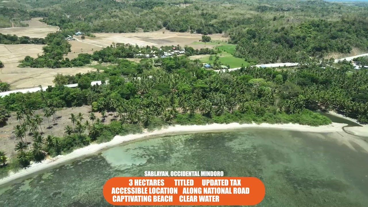 🏝️ Massive 3-Hectare Beachfront Property for Sale in Mindoro 🌊