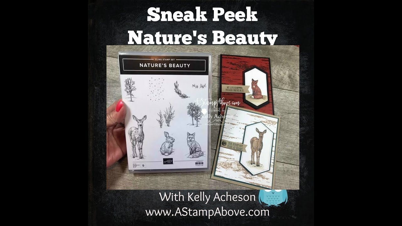 Nature's Best Blog Hop