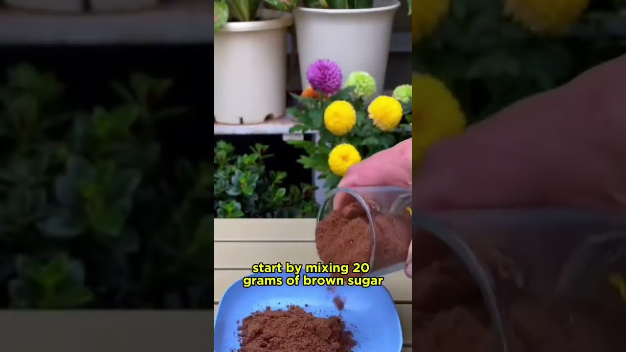 Gardening Hacks and tricks #garden #fypviral #gardenigtip #fypviral gardengingtips #gardentips