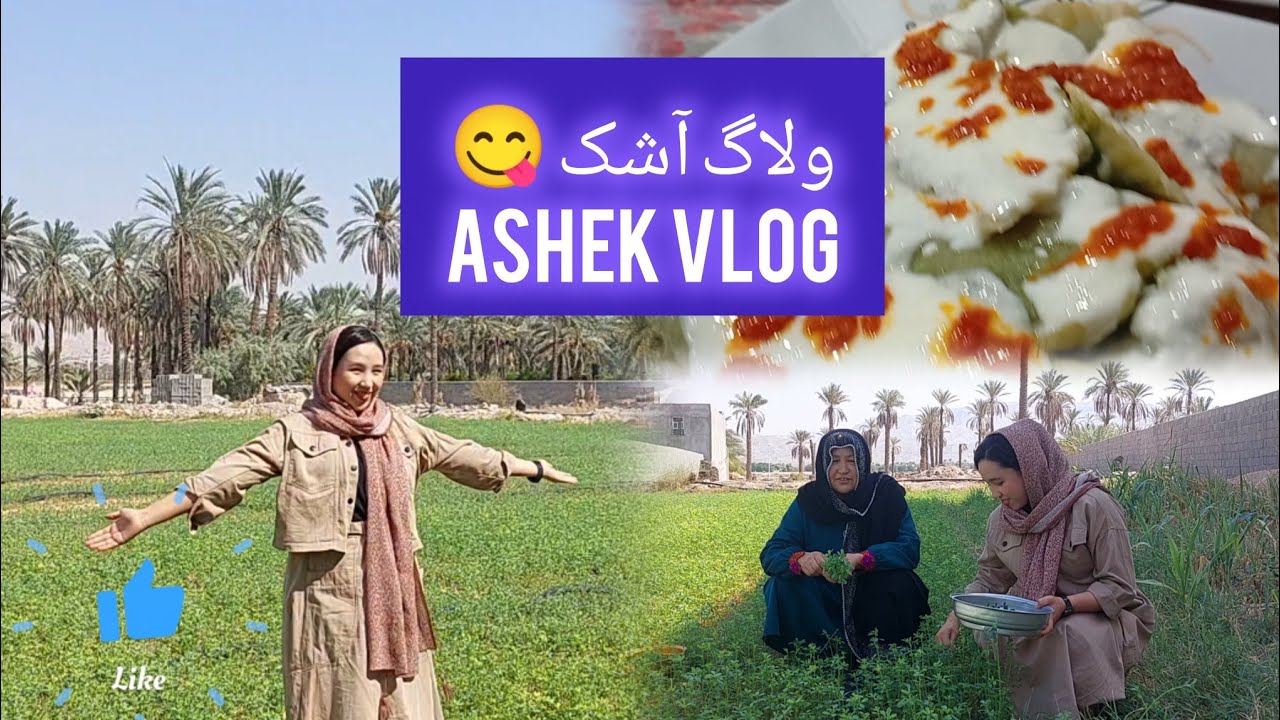 ولاگ آشک 