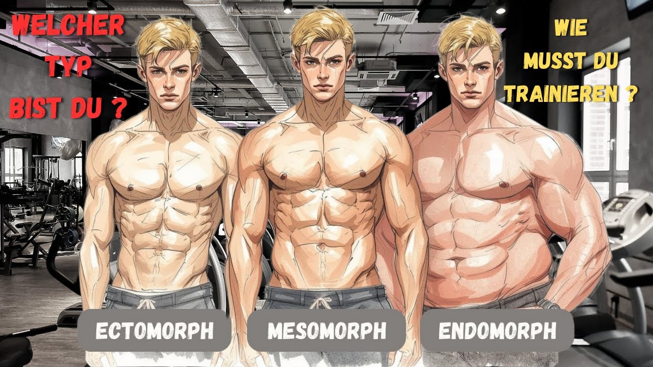Finde deinen Körpertyp! 💪 So trainieren Ektomorph, Mesomorph & Endomorph richtig