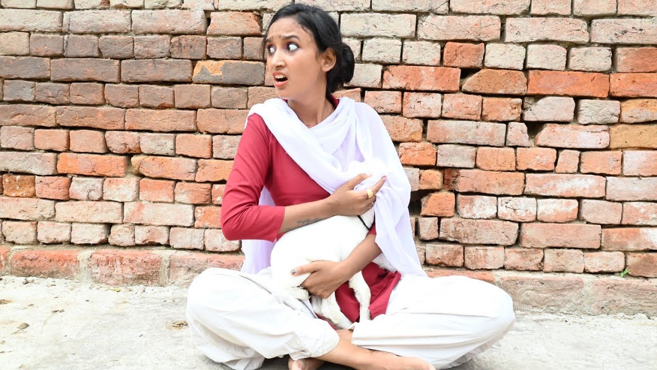 देखिए कॉलेज में पढ़ने वाली लड़की कैसे छिप-छिपकर बकरी के बच्चे को दूध पिला रही है//comedy video////