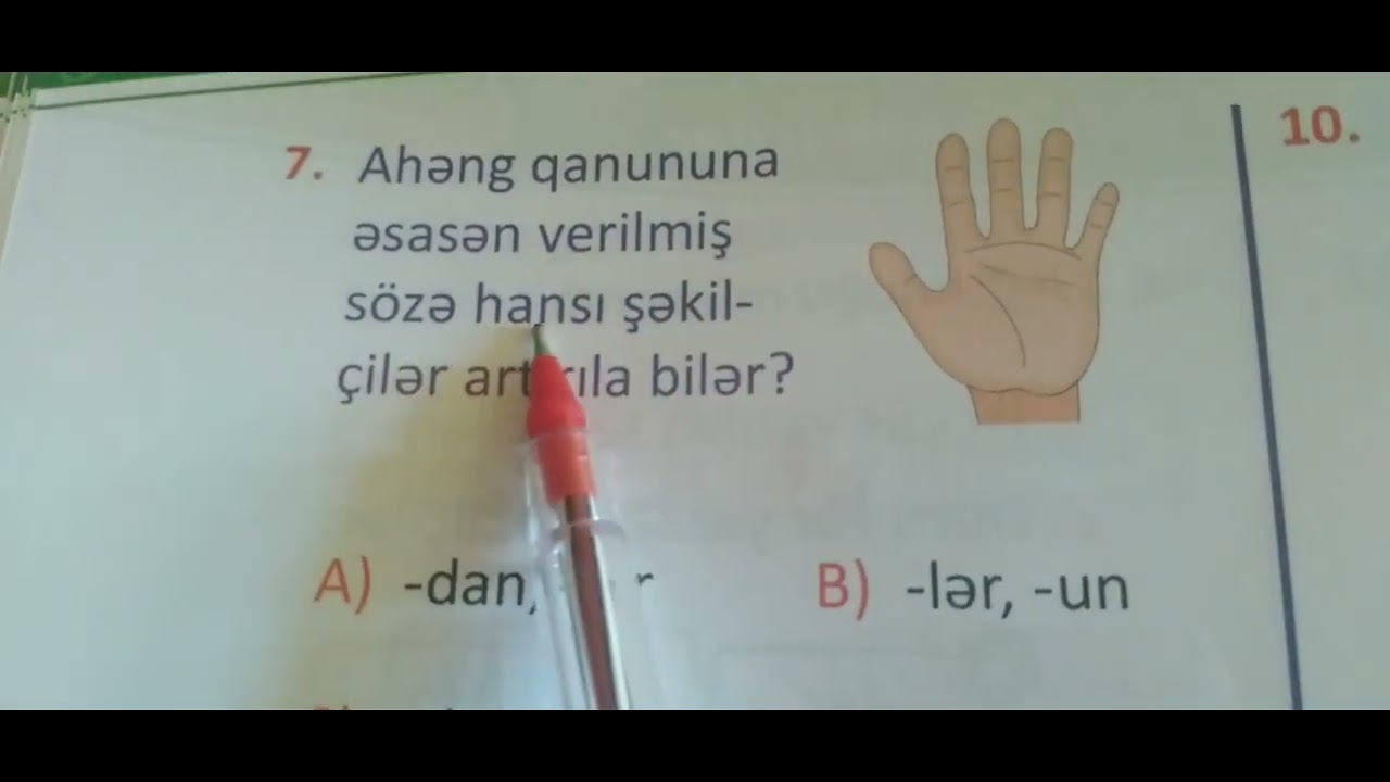3-cü sinif test nömrə-20 səh.41-42 Azərbaycan dili fənni.Çinar yayımları Yarpaq testi