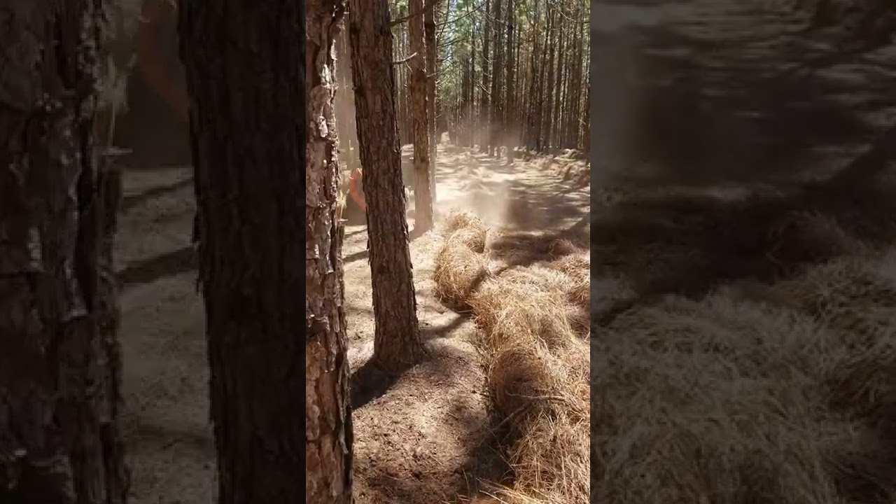 *NEW* MTE Pine Straw Rake
