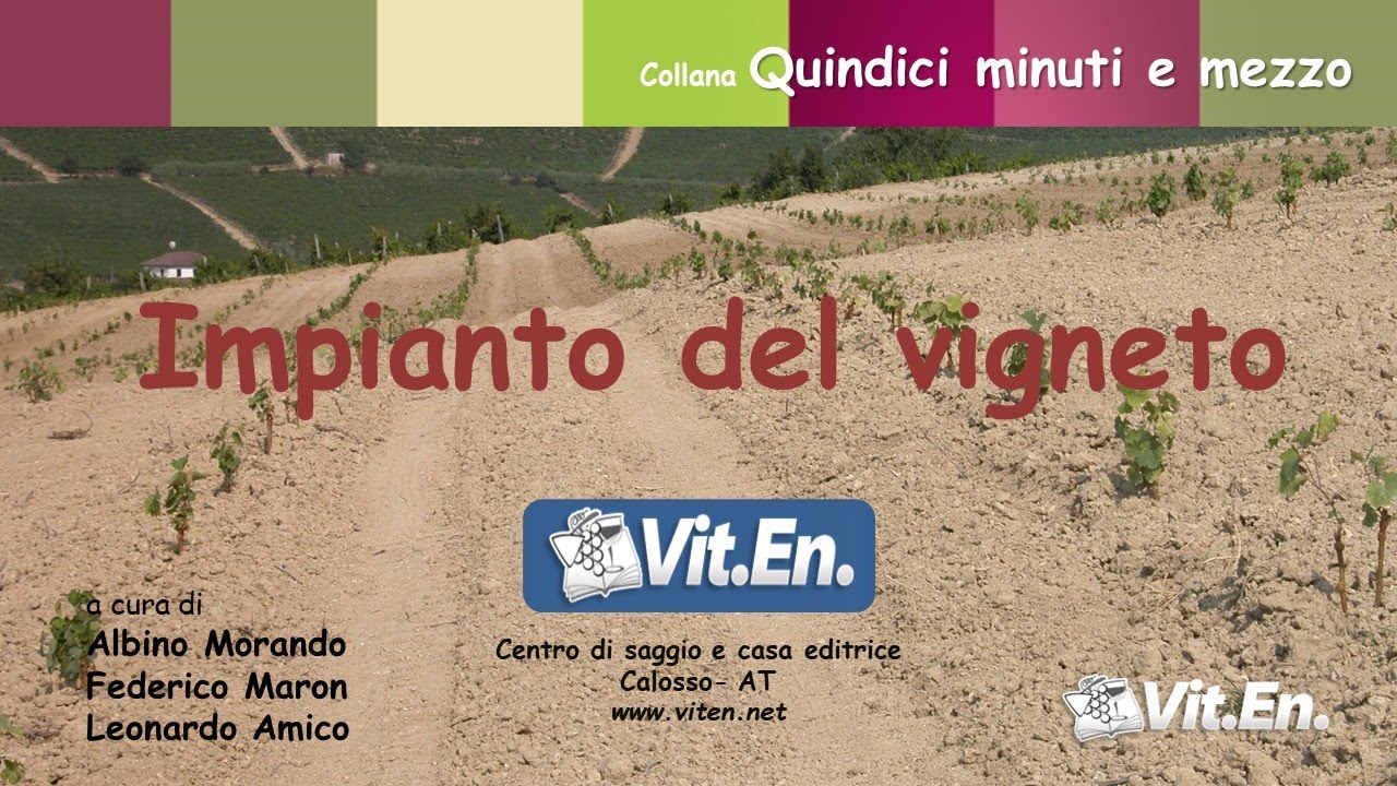 Impianto del vigneto - spianamento, scasso, messa a dimora di barbatelle e sostegni