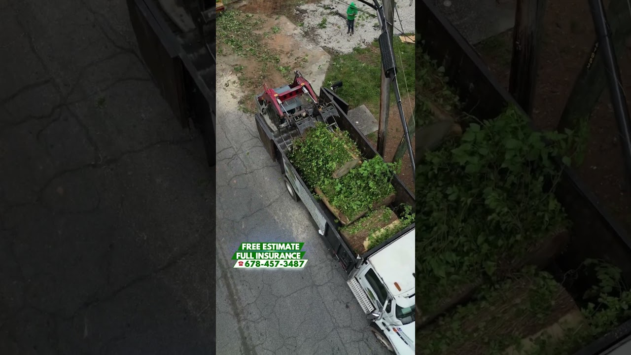 Tree Service #treeservice #treeremovalatlanta #stumpgrinding #georgia