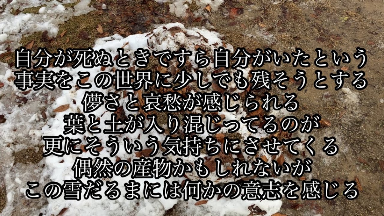 雪だるまとは