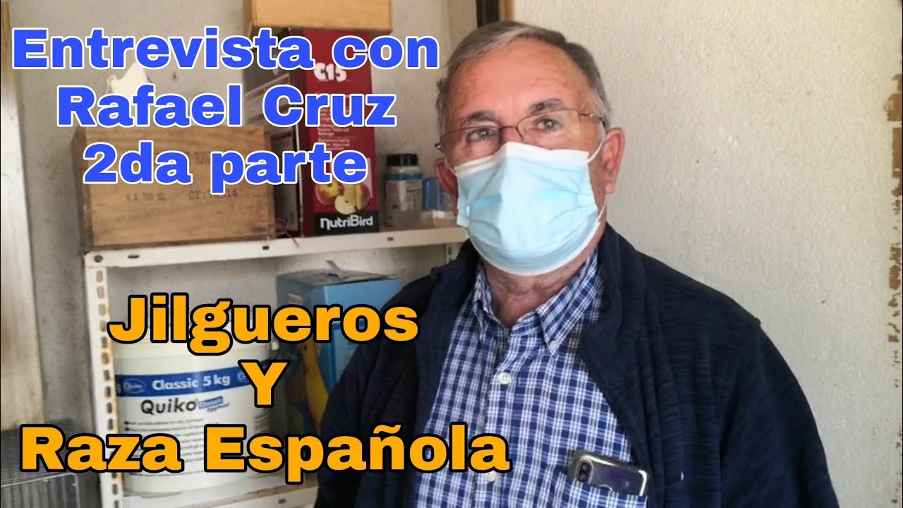 Entrevista con Rafael Cruz 2da parte, jilgueros y Raza española