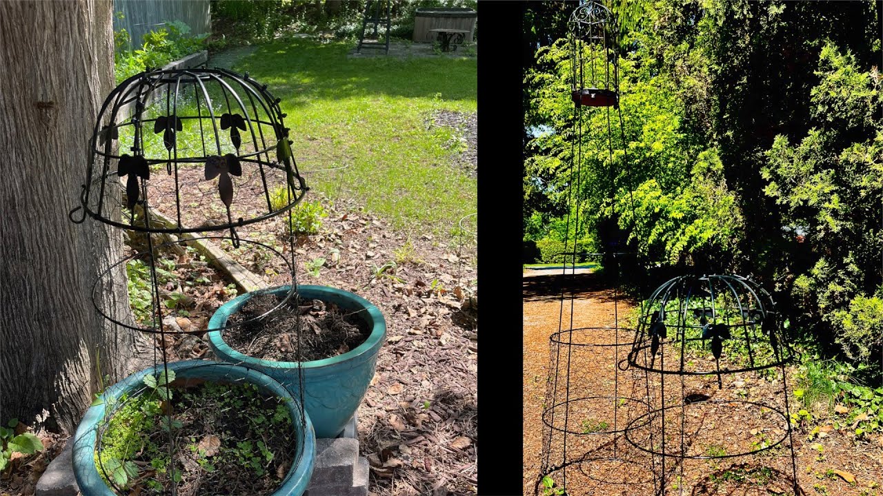 DIY Garden  Cloche