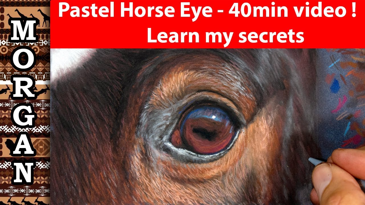 Drawing a Horse - Pencils and Soft Pastel  Jason Morgan Art